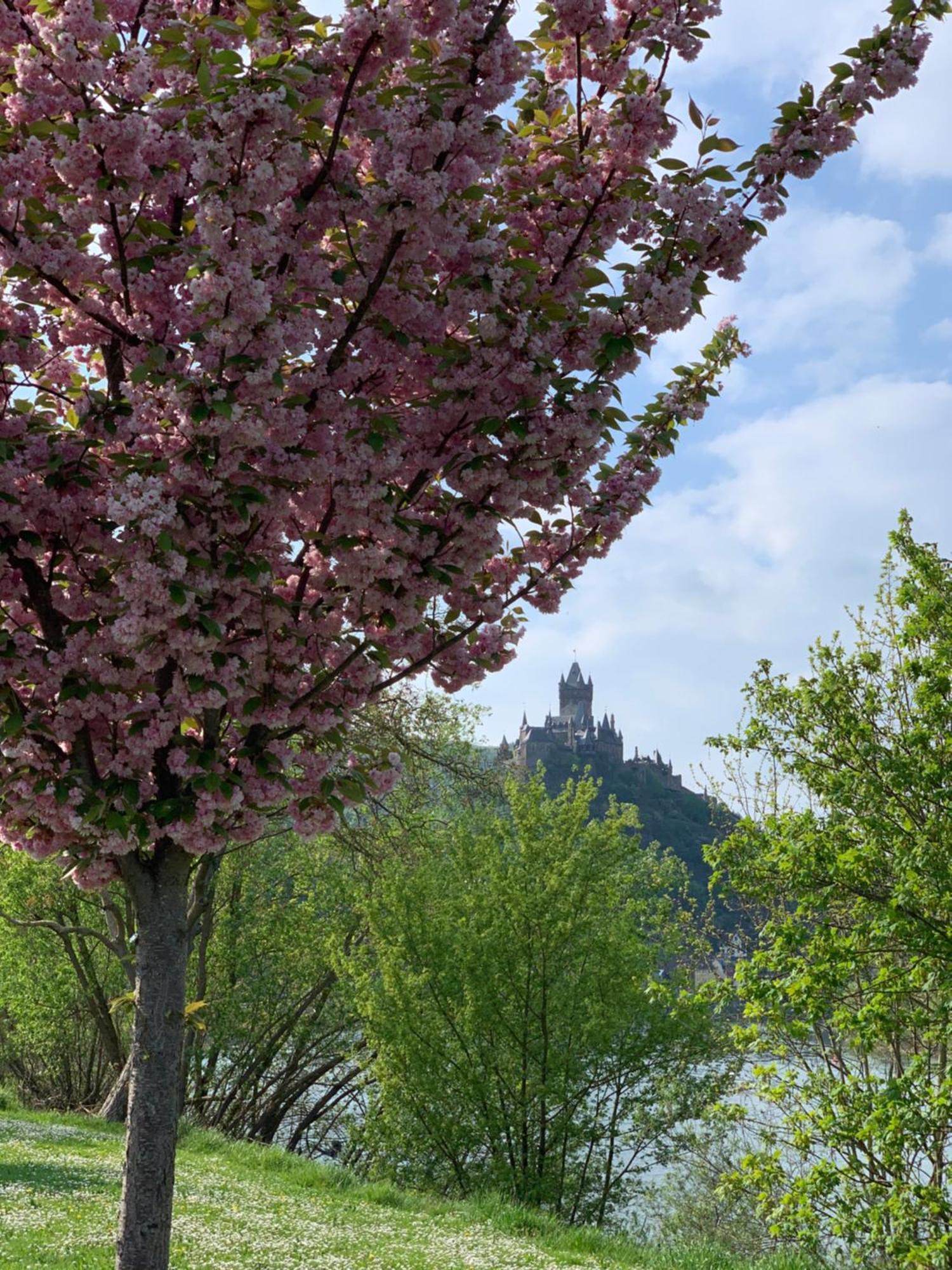 Stumbergers Hotel Cochem Bagian luar foto